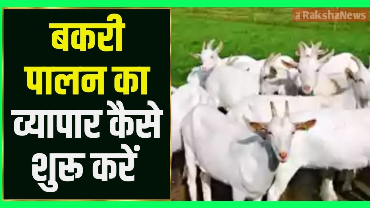 Bakri Palan Yojana